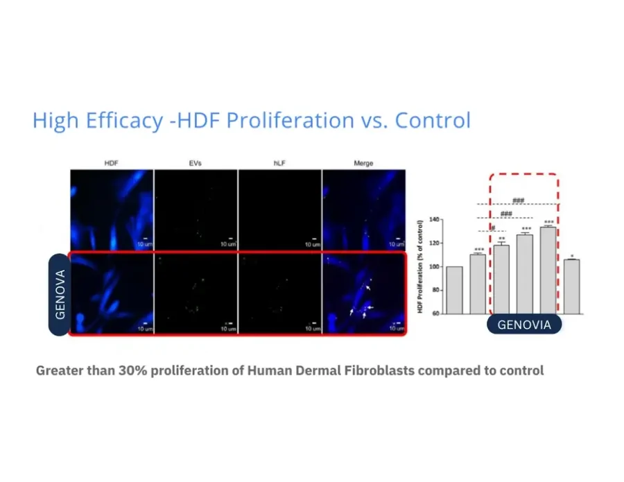 Genovia in-vitro laboratory data: human dermal fibroblast proliferation